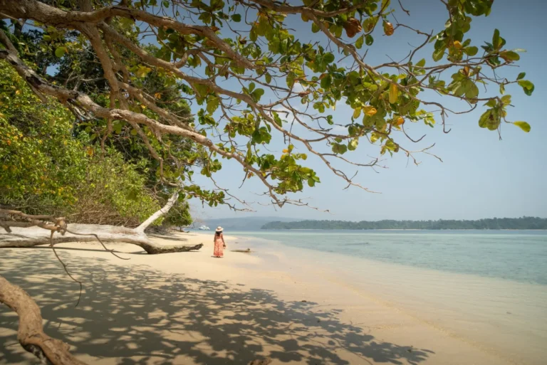 Andaman Explorer with Neil Island