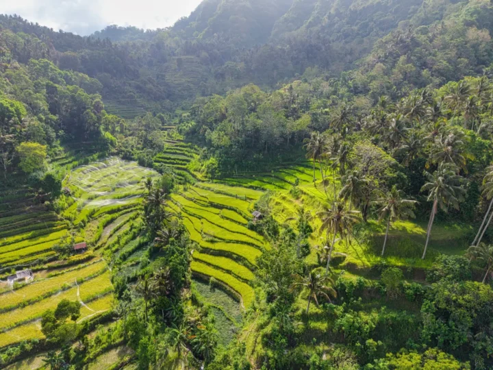 Bali 2