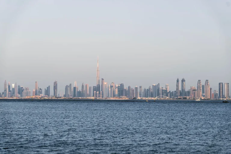 Dubai Delights