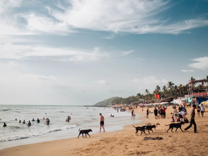 Goa 2