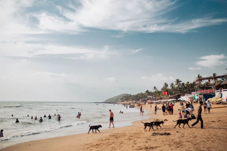 Corporate Retreat - Goa