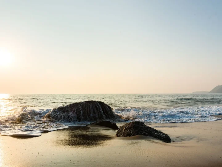 Goa 3