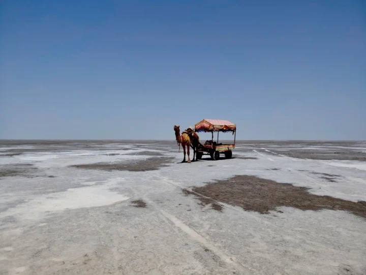 Gujarat 1