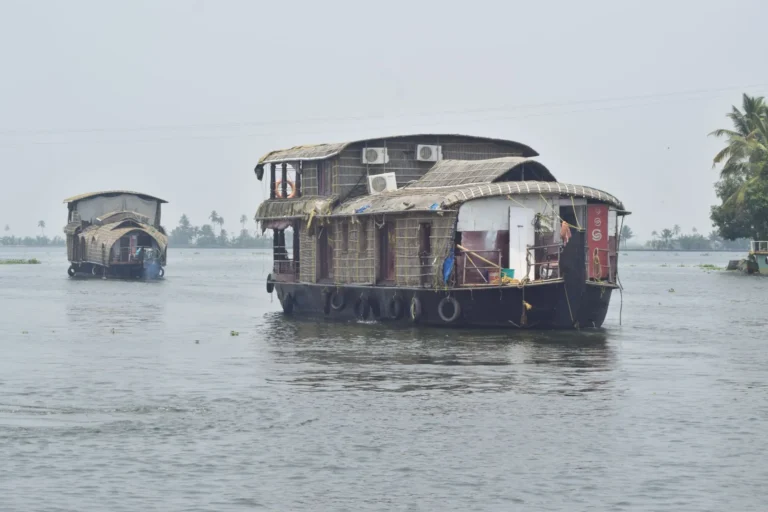 Kerala Backwaters & Hills