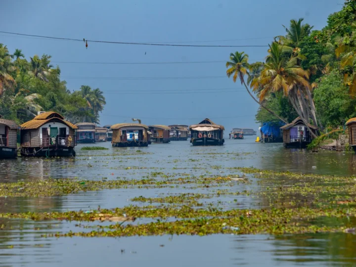 Kerala 3