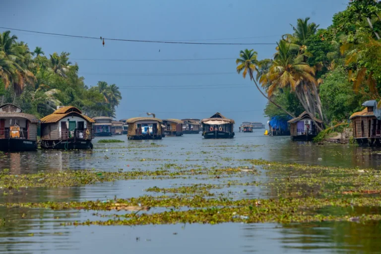 Kerala Ayurveda & Backwaters